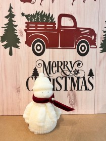 ΧΙΟΝΑΝΘΡΩΠΟΣ ΚΕΡΙ